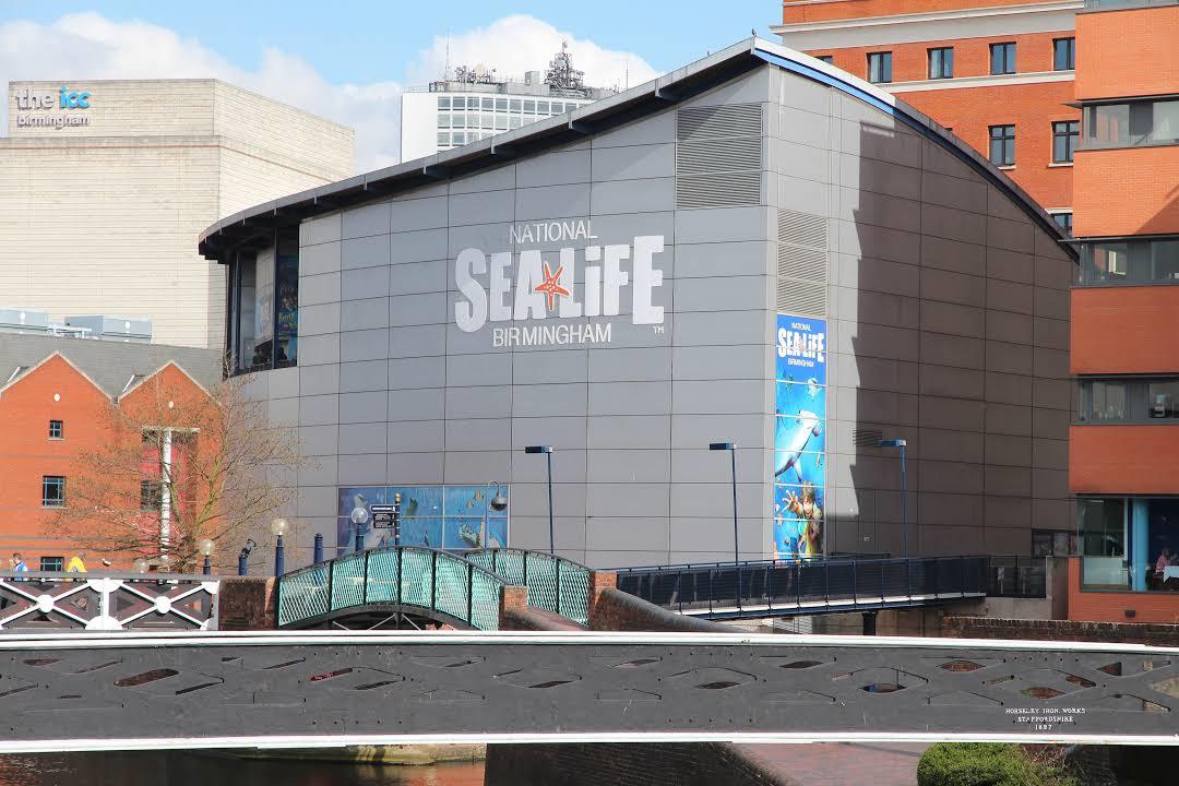 The National Sea-Life Centre